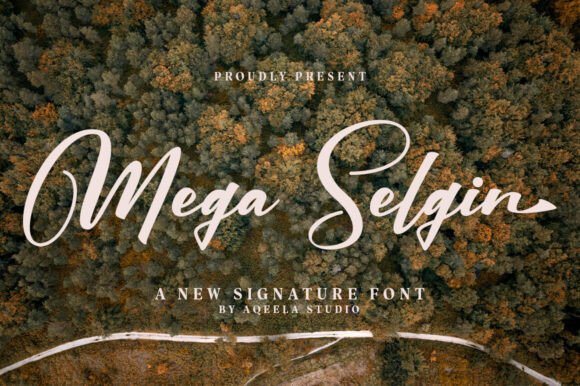Mega Selgin: A Font That Speaks to Business